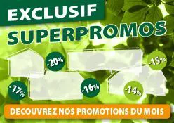 Action en ligne Chalet Center